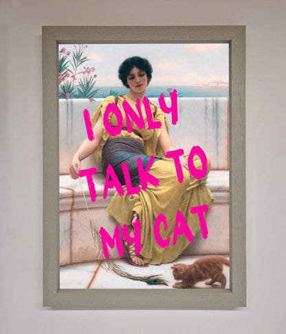 I Only Talk To My Cat Framed Wall Art