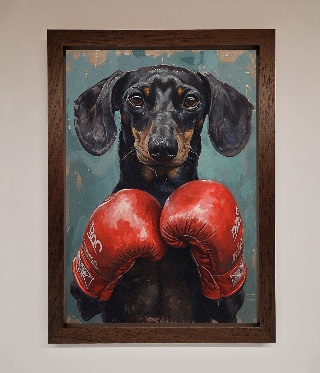 Sausage Dog Boxing Framed Print