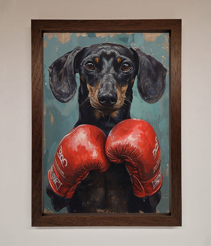 Sausage Dog Boxing Framed Print