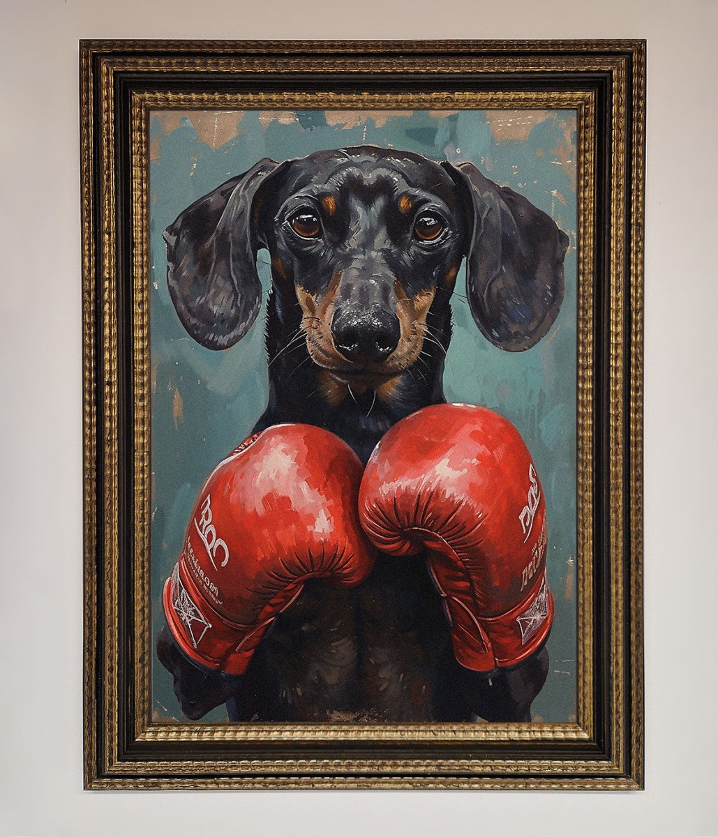 Sausage Dog Boxing Framed Print
