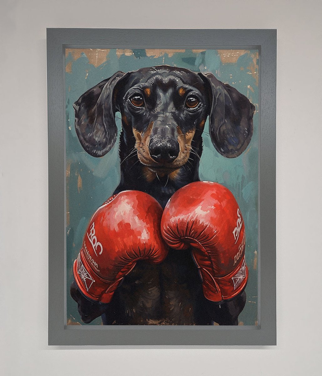 Sausage Dog Boxing Framed Print