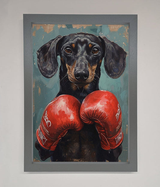 Sausage Dog Boxing Framed Print